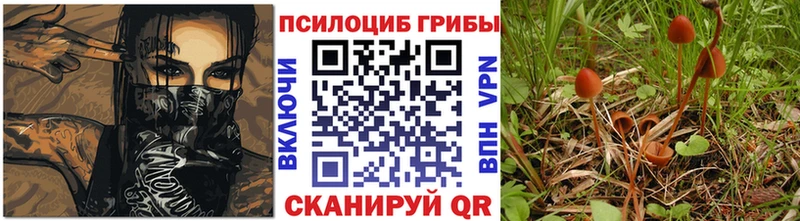 Галлюциногенные грибы Psilocybine cubensis  кракен зеркало  Курск 